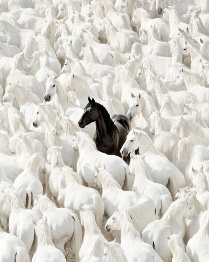 Museum-quality contemporary art for private collectors.